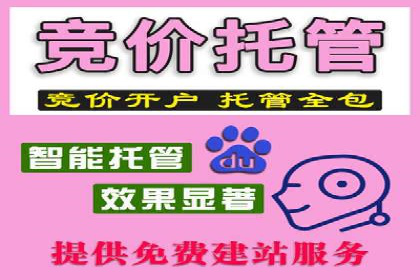 SEM服务托管实战案例：数据驱动营销